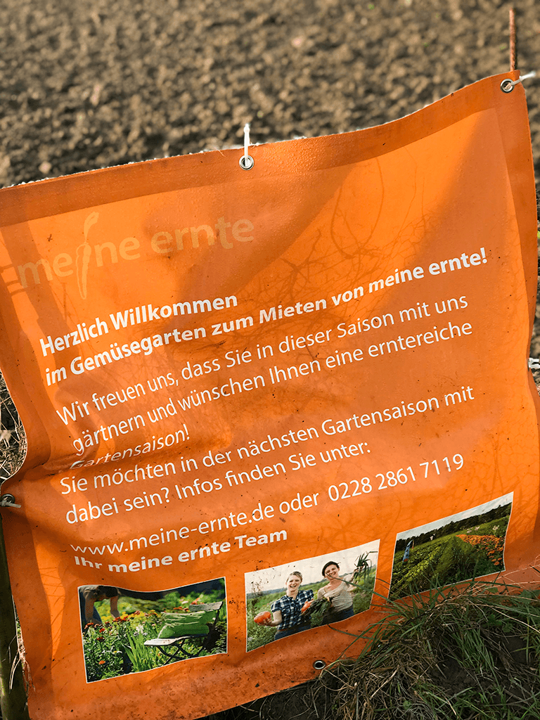 meine ernte in Düsseldorf Volmerswerth, Urban Gardening Düsseldorf, gärtnern in Düsseldorf, Feld in Düsseldorf, Gemüseanbau Düsseldorf